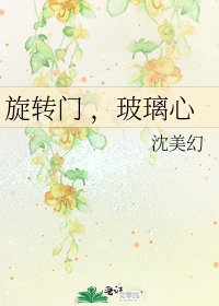 旋转门 ，玻璃心